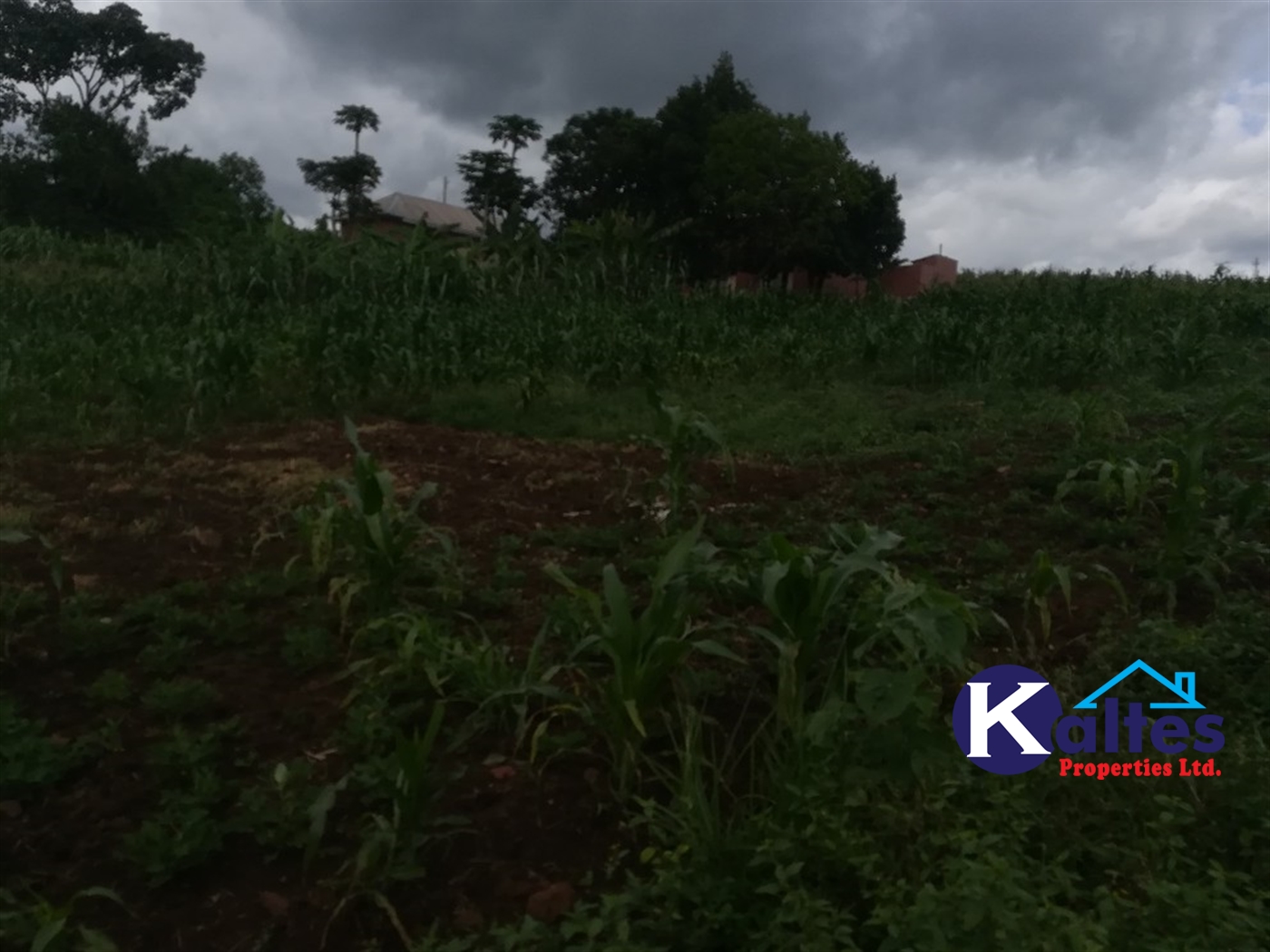 Residential Land for sale in Kisoga Mukono