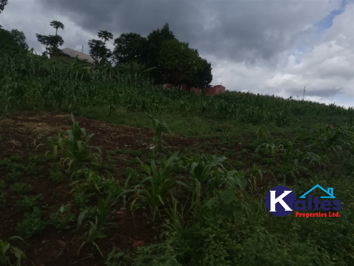 Residential Land for sale in Kisoga Mukono