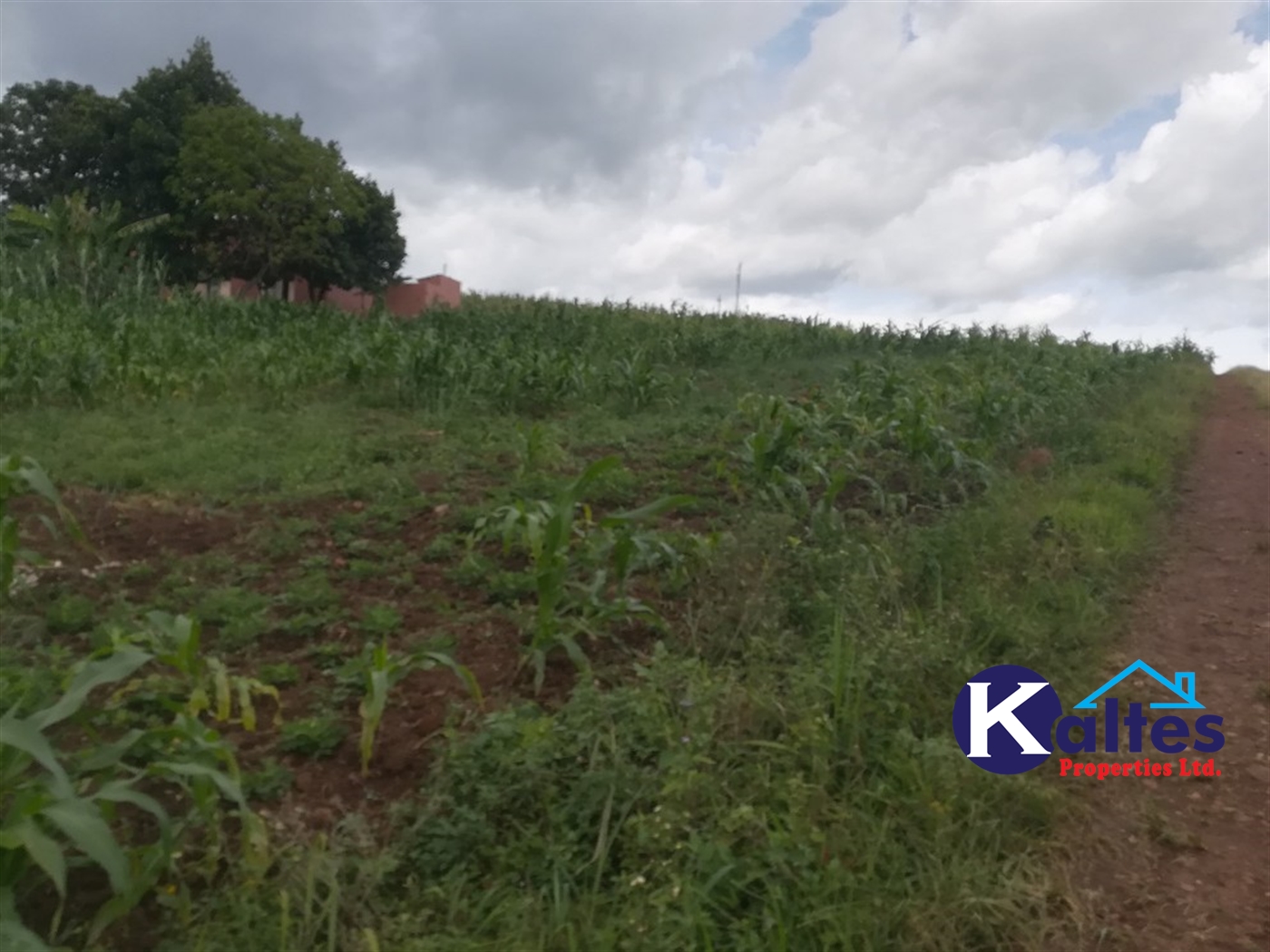 Residential Land for sale in Kisoga Mukono