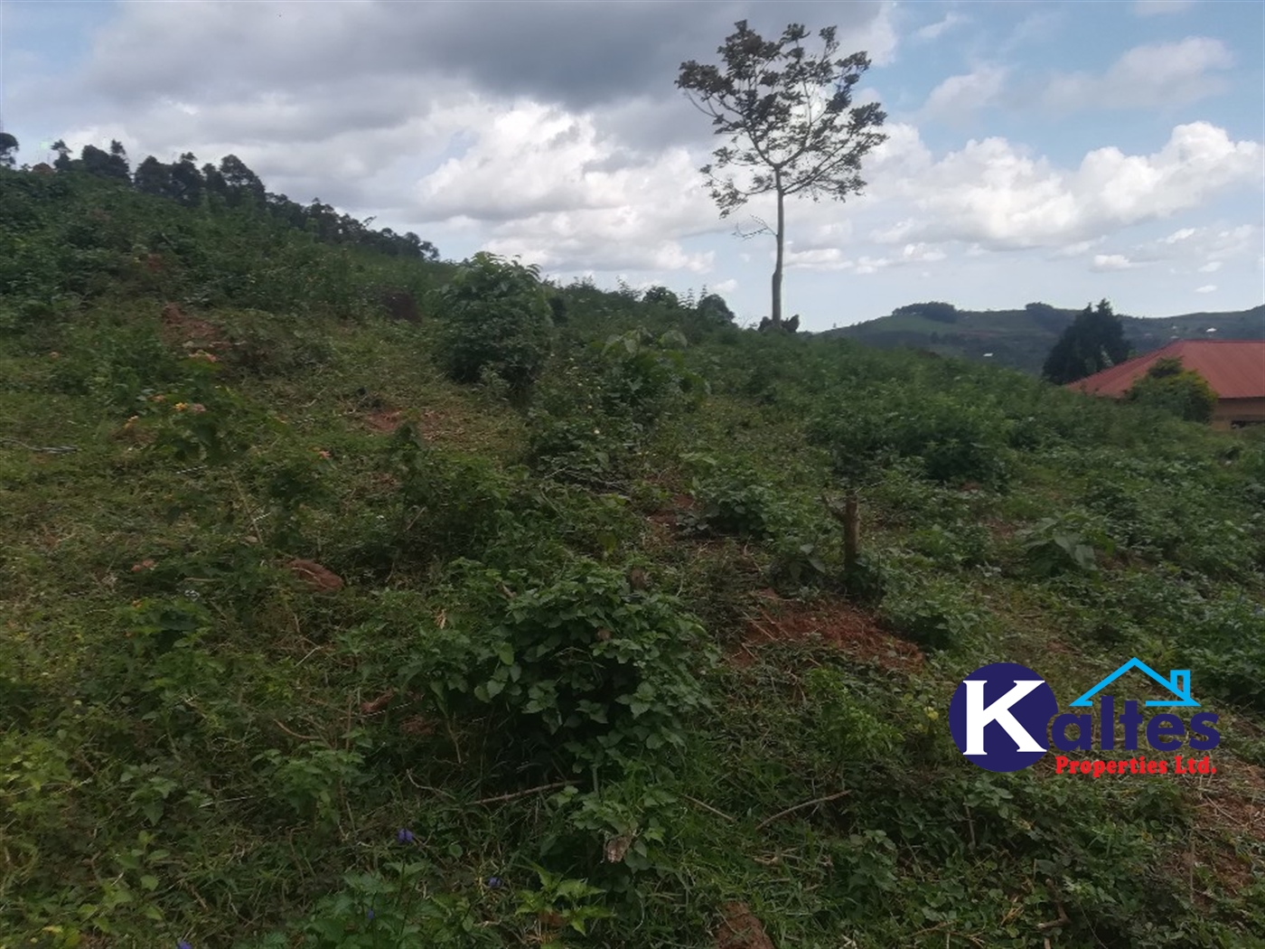 Residential Land for sale in Kisoga Mukono