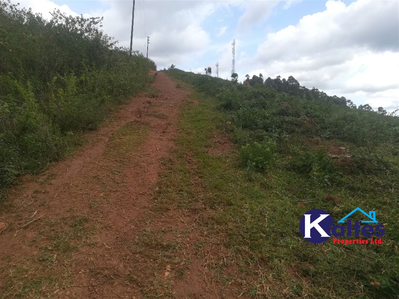 Agricultural Land for sale in Buwooya Mukono