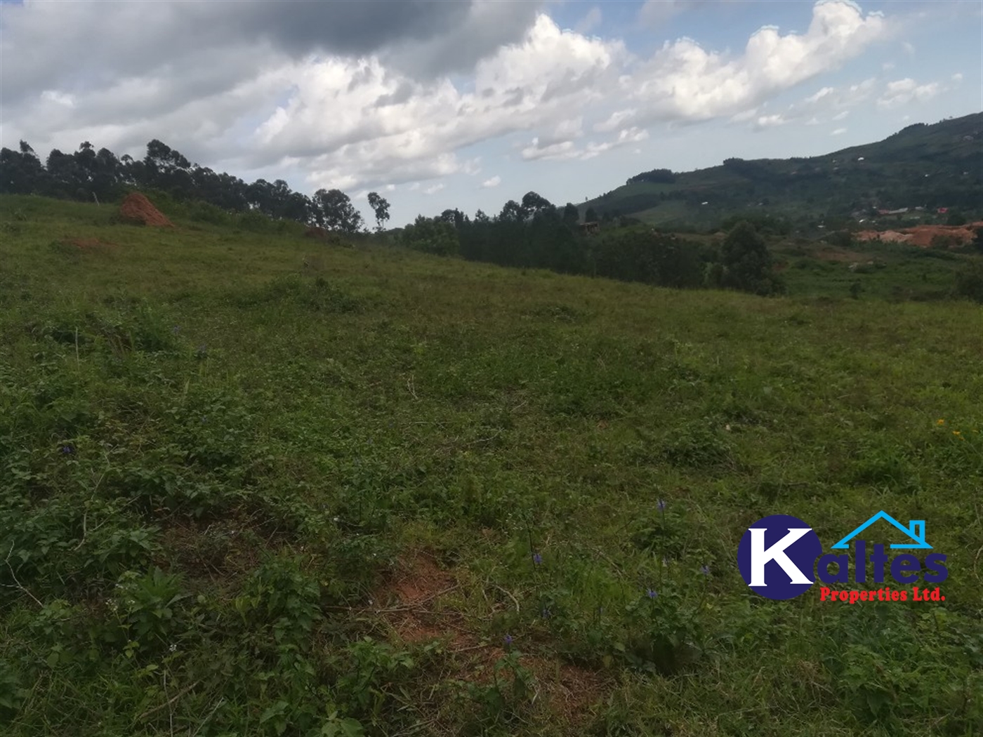 Agricultural Land for sale in Buwooya Buyikwe