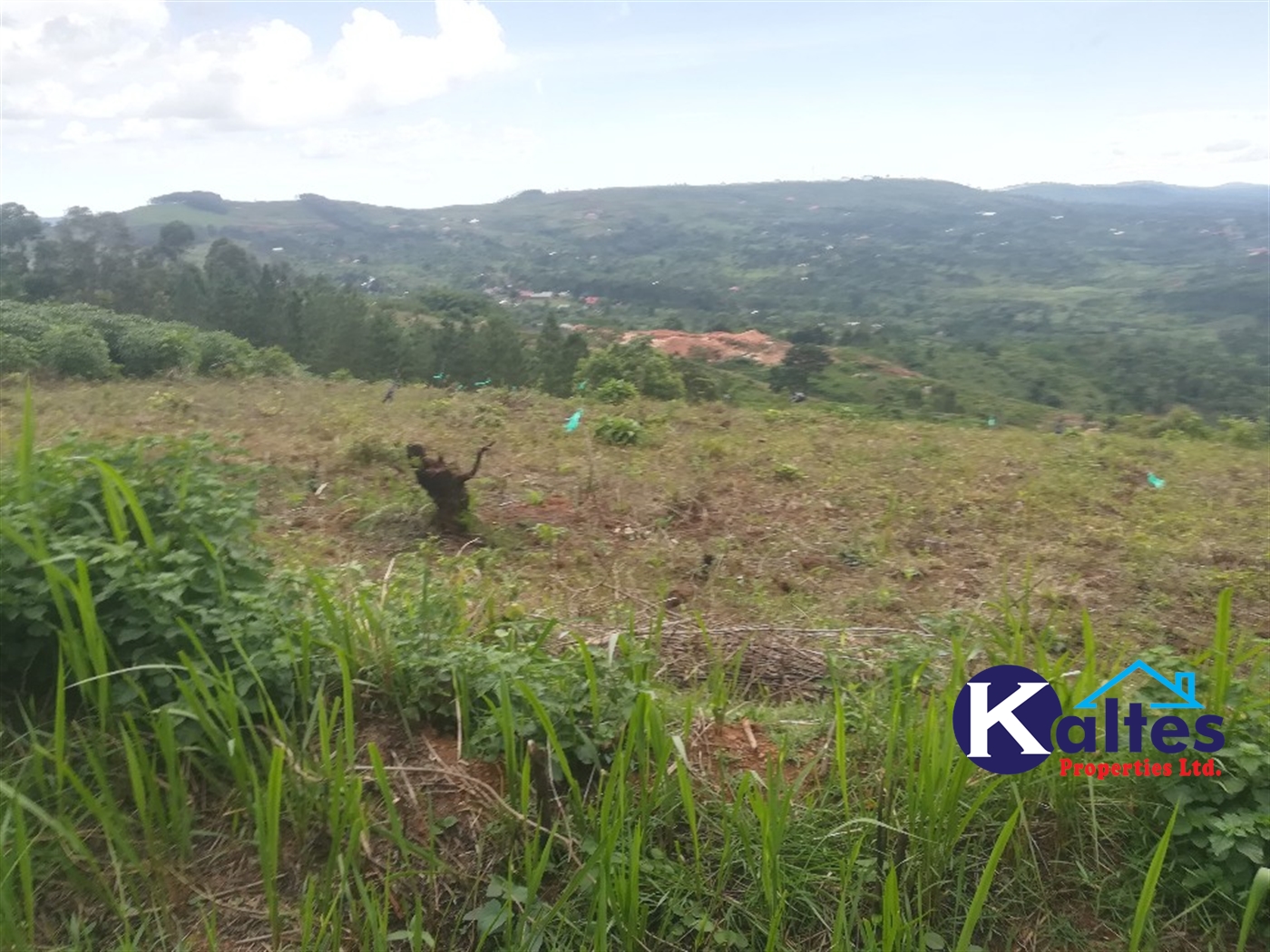 Agricultural Land for sale in Buwooya Buyikwe