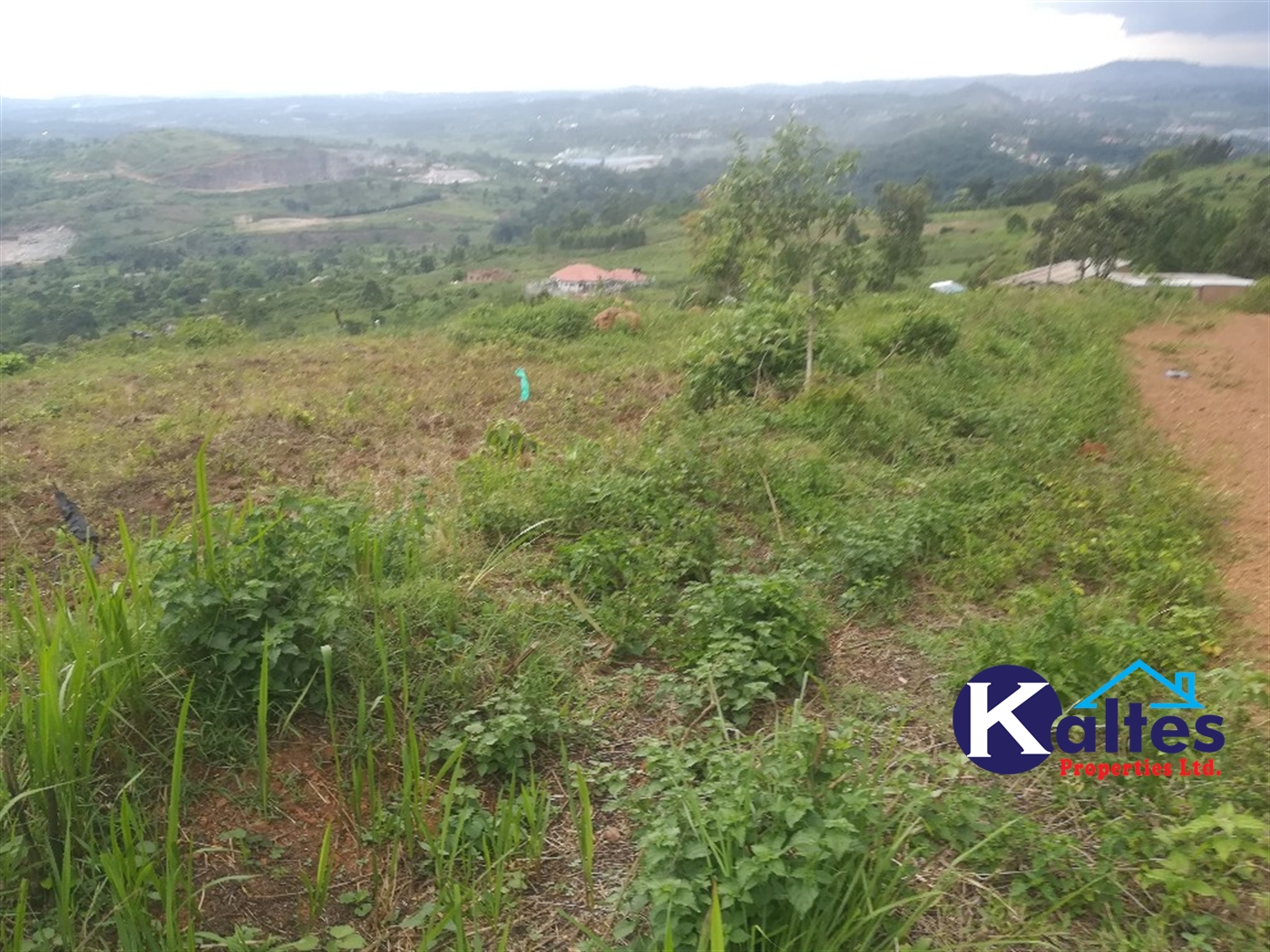 Agricultural Land for sale in Buwooya Buyikwe