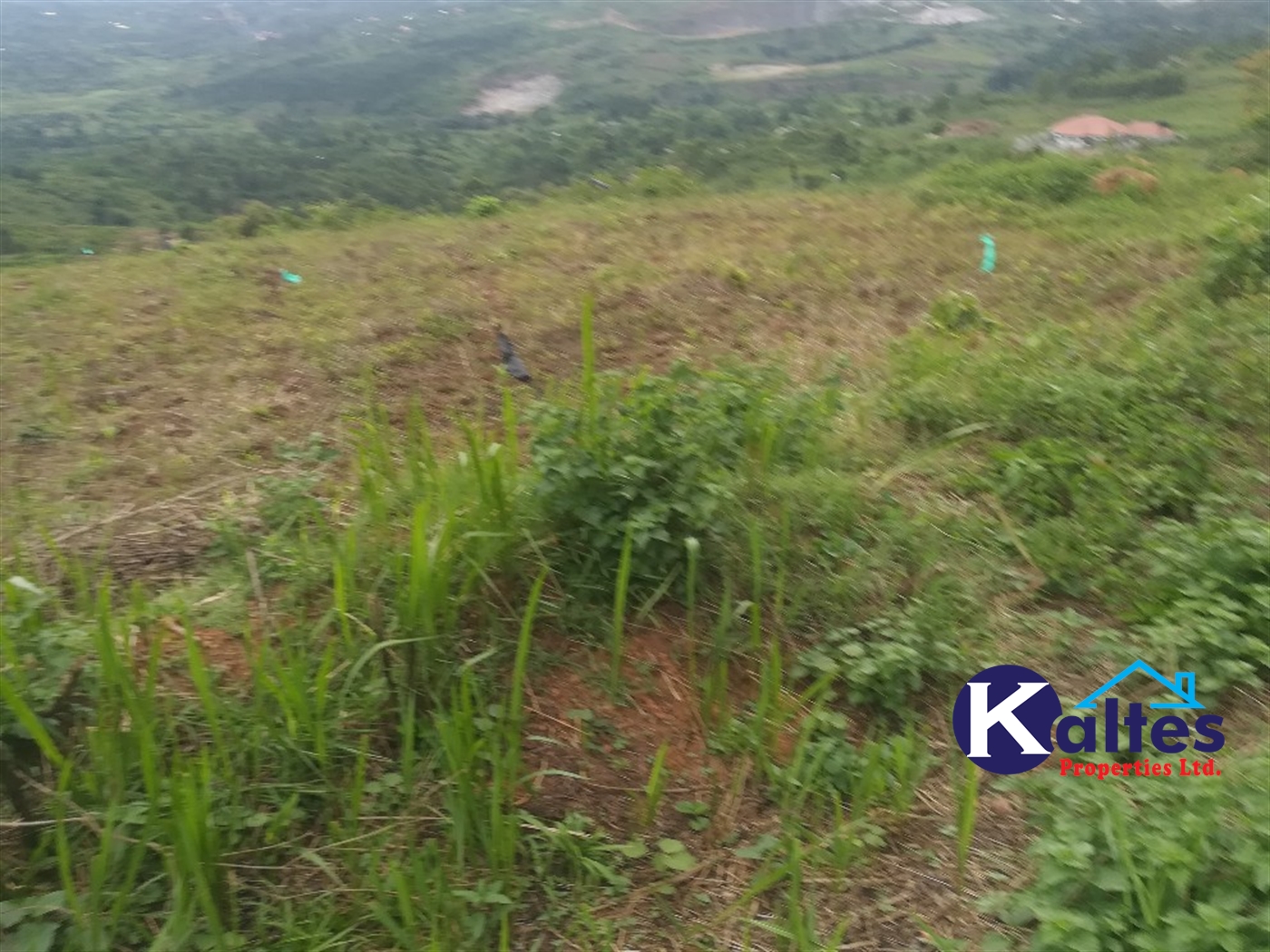 Agricultural Land for sale in Buwooya Buyikwe