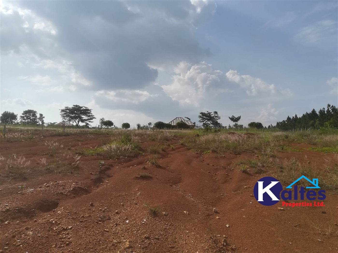 Agricultural Land for sale in Buwooya Buyikwe