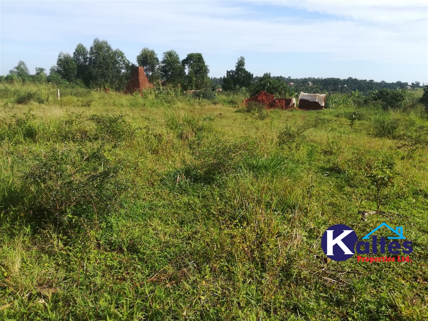 Agricultural Land for sale in Buwooya Buyikwe