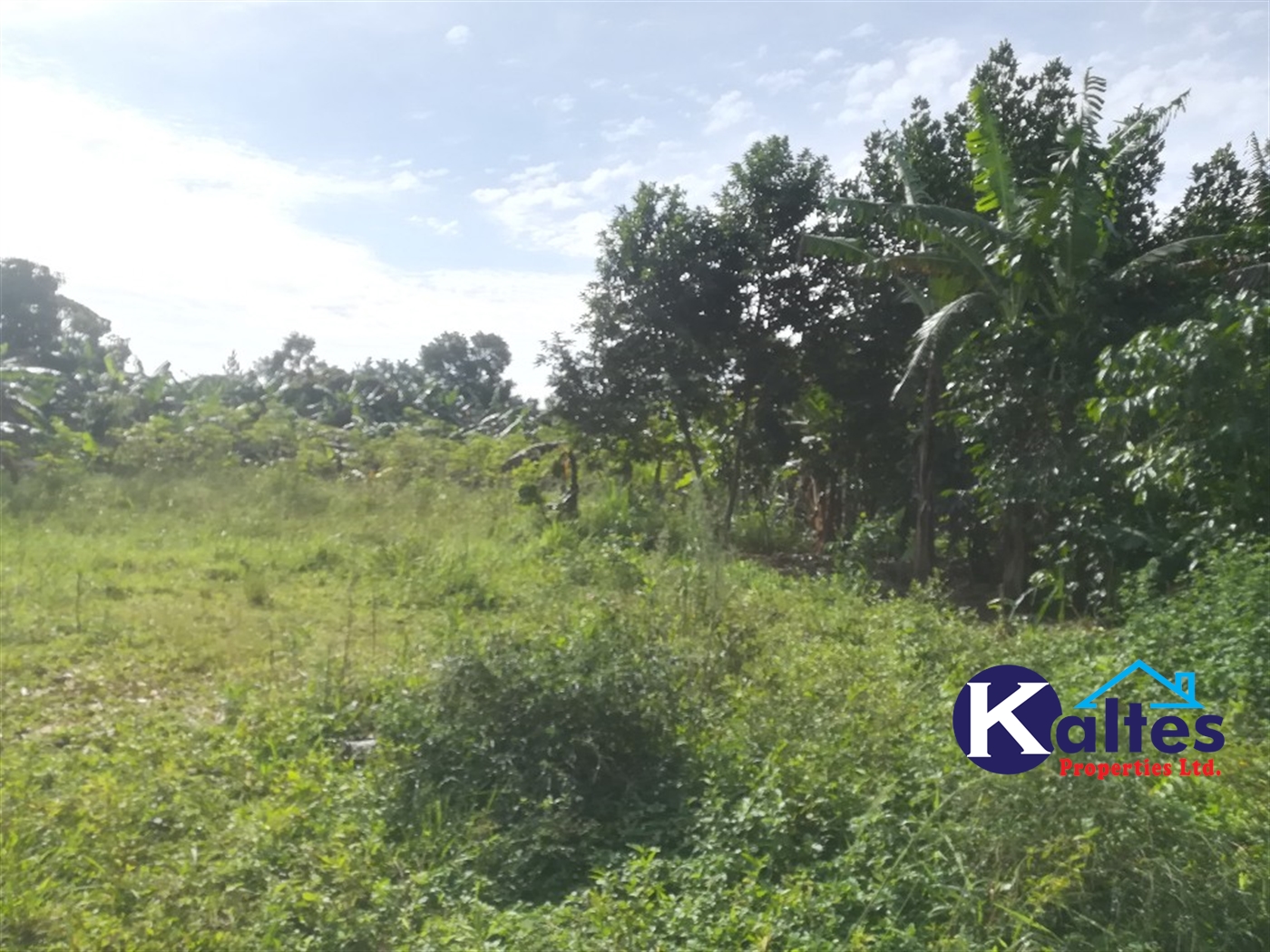 Agricultural Land for sale in Buwooya Buyikwe