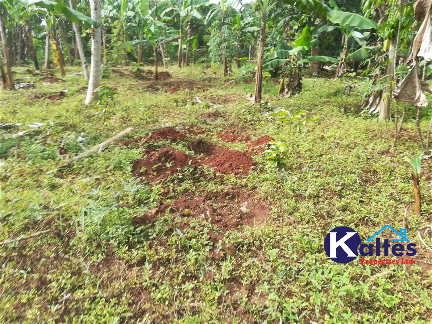 Agricultural Land for sale in Makindu Buyikwe