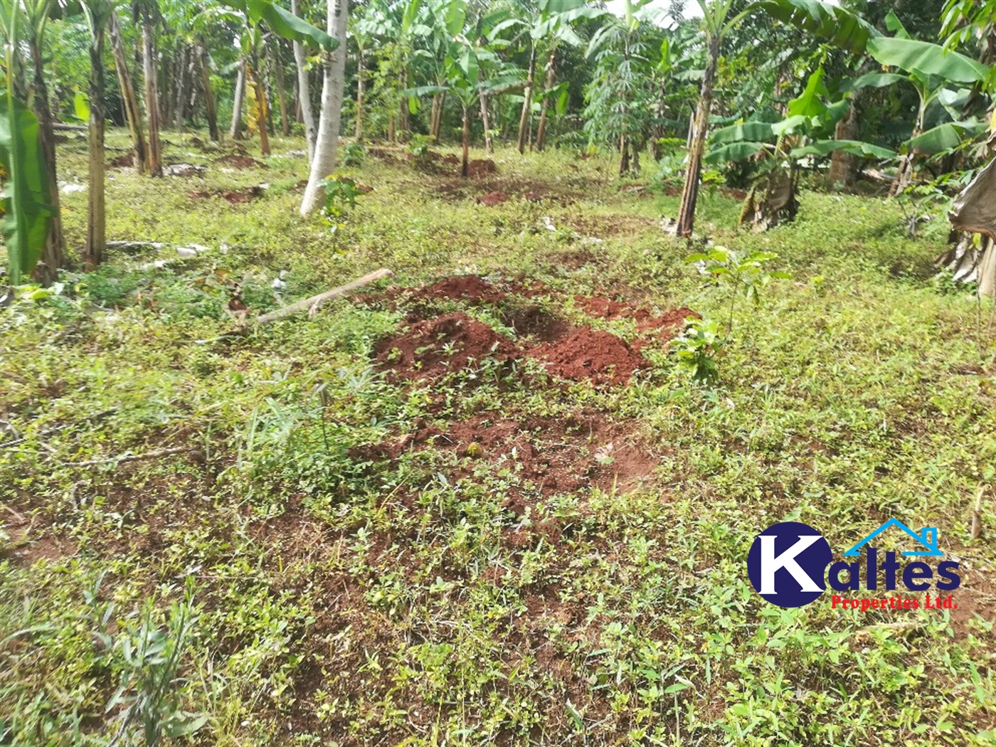 Agricultural Land for sale in Makindu Buyikwe