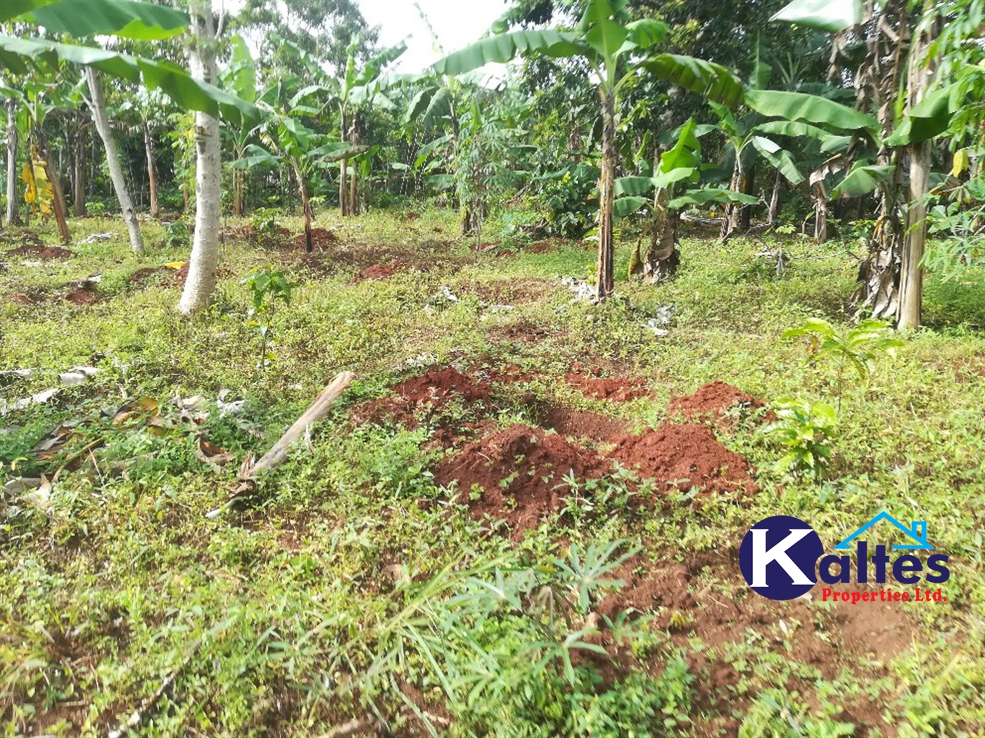 Agricultural Land for sale in Makindu Buyikwe