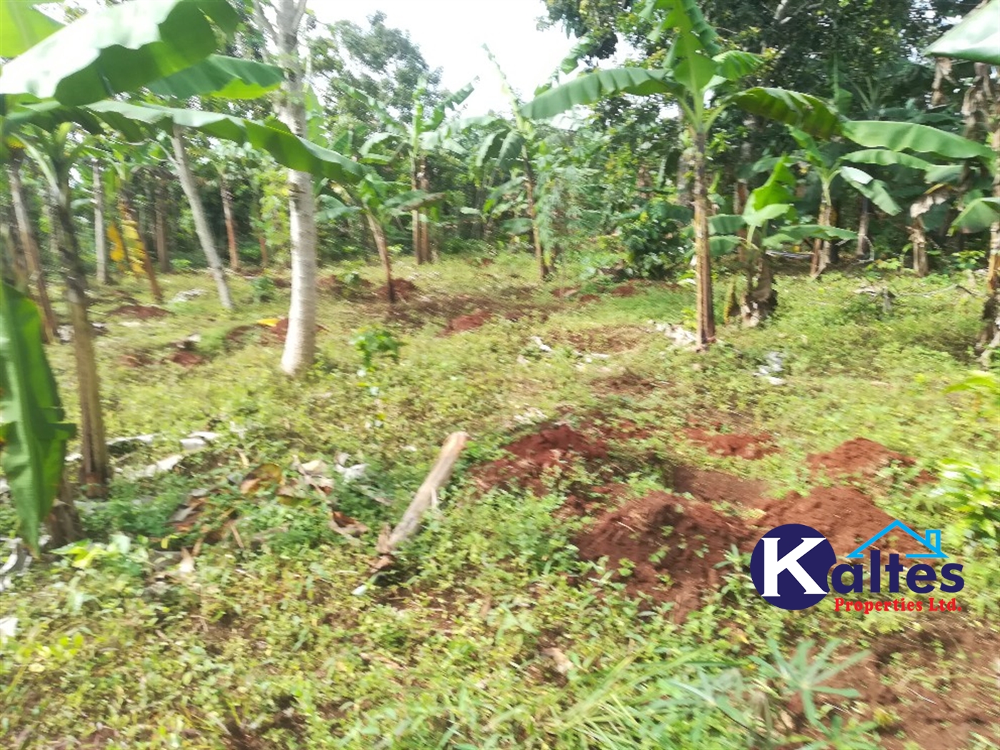 Agricultural Land for sale in Makindu Buyikwe