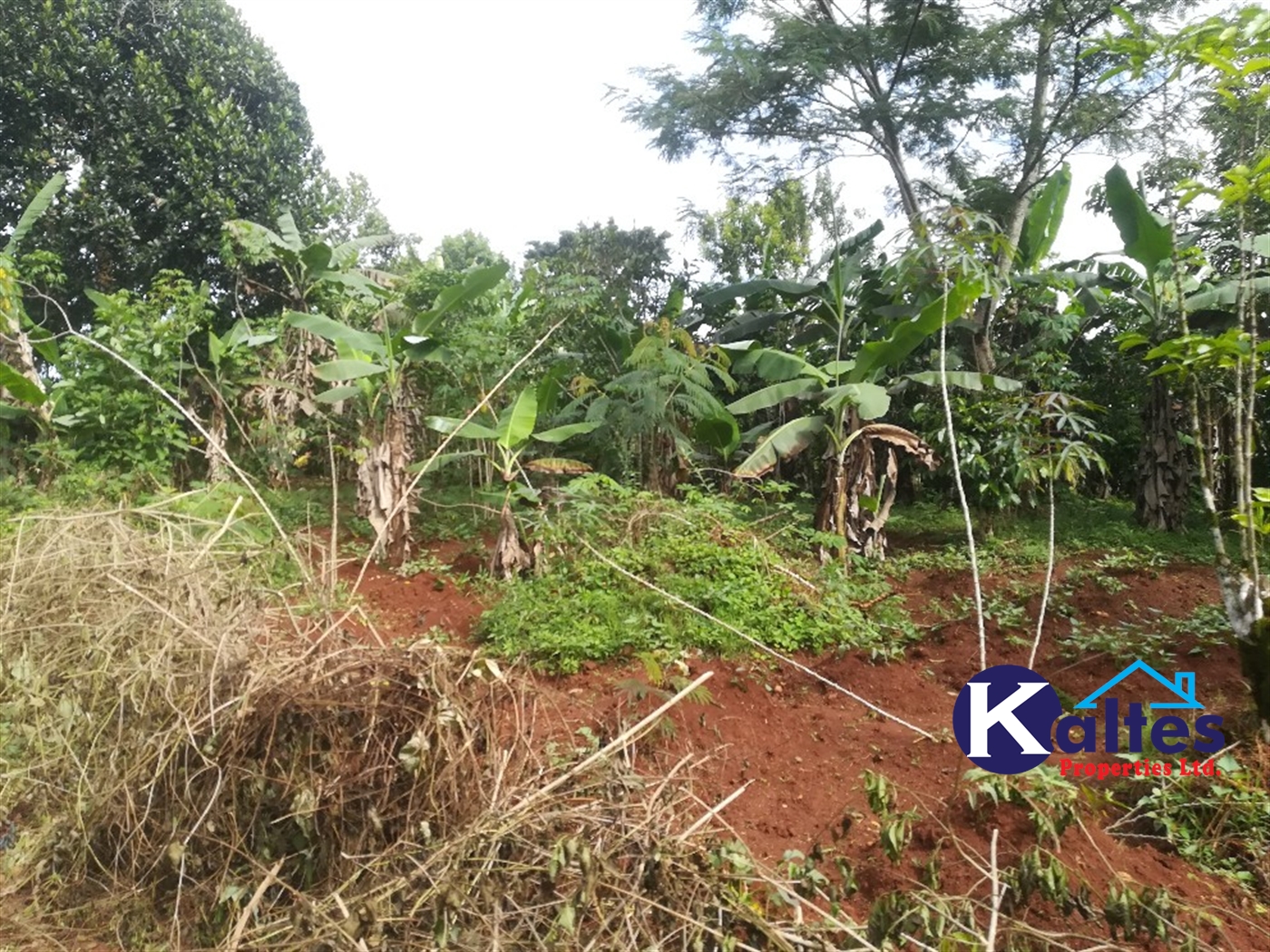 Agricultural Land for sale in Makindu Buyikwe