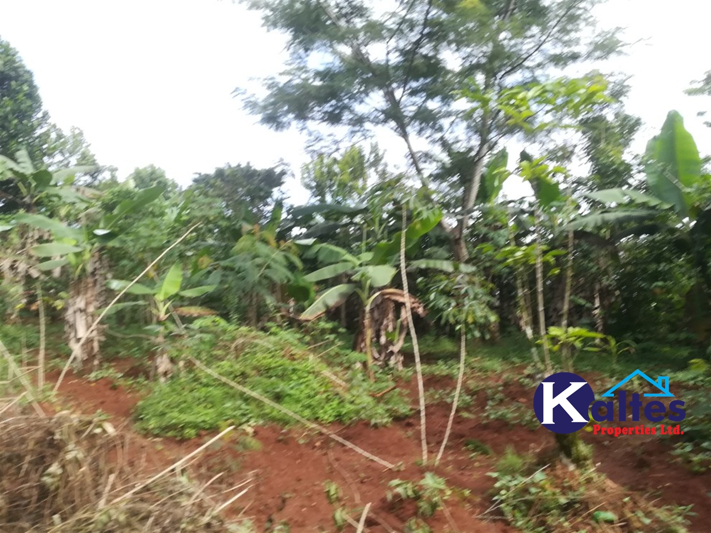 Agricultural Land for sale in Makindu Buyikwe