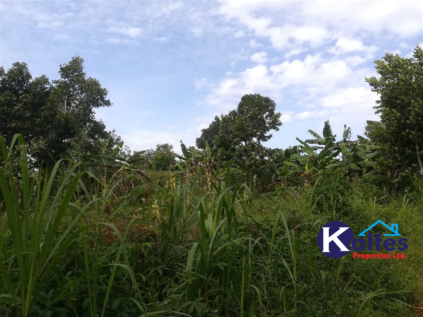 Agricultural Land for sale in Makindu Buyikwe