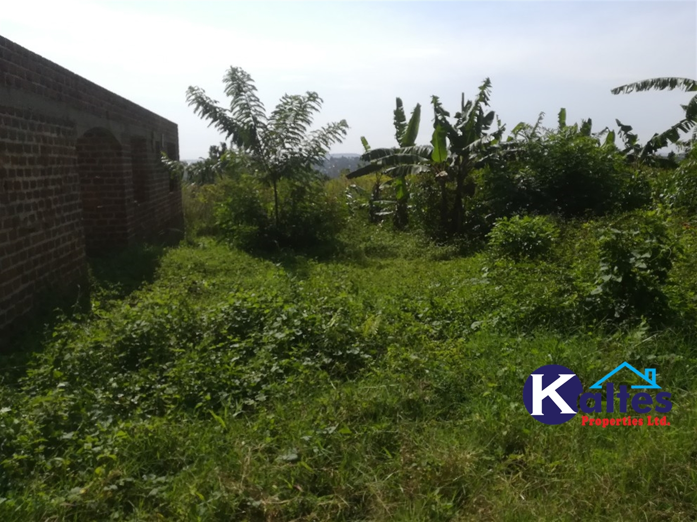 Agricultural Land for sale in Makindu Buyikwe