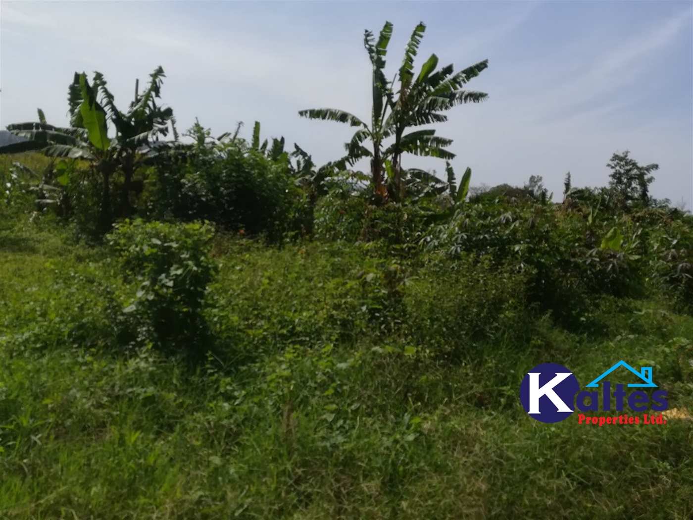 Agricultural Land for sale in Makindu Buyikwe