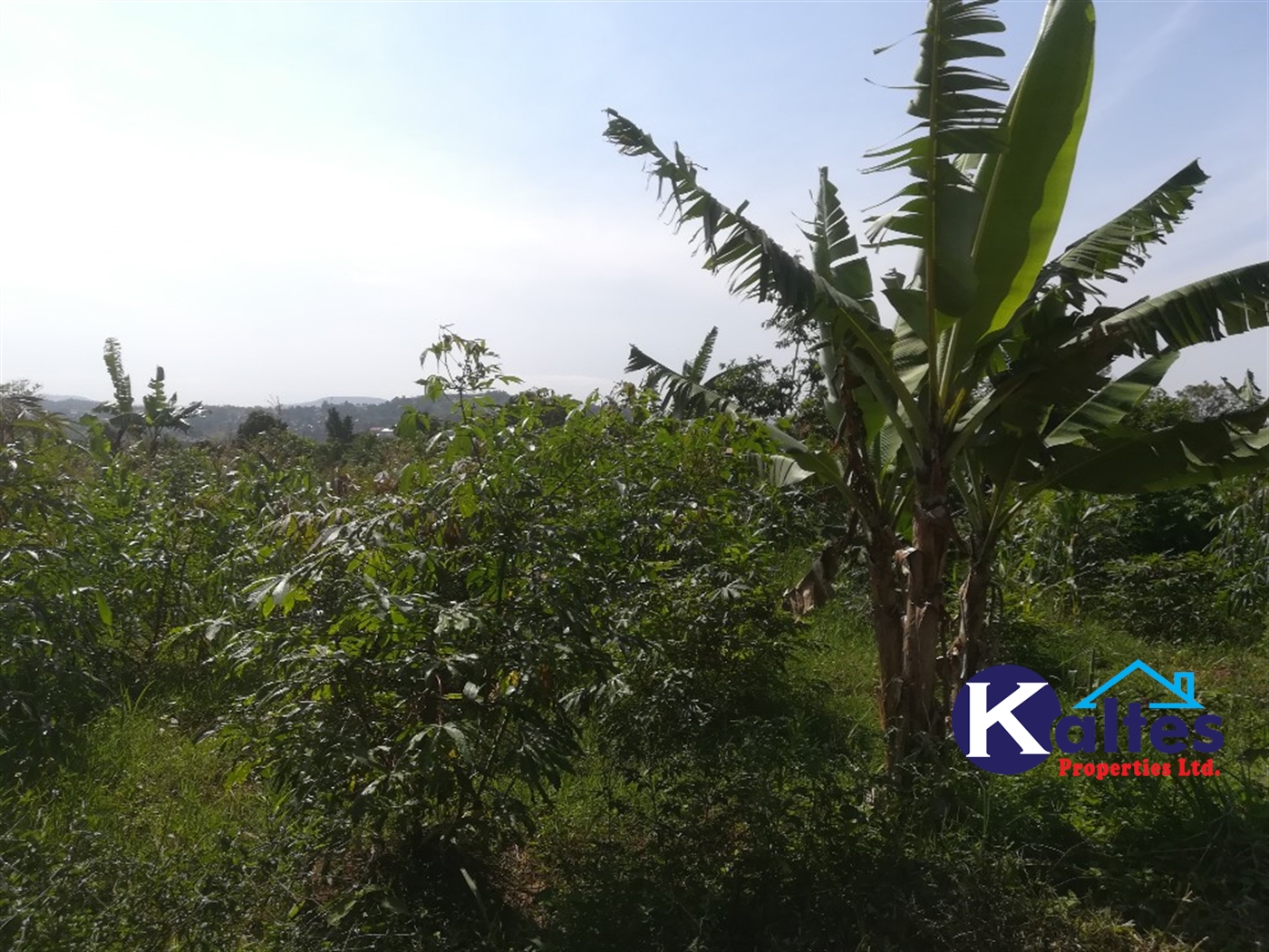 Agricultural Land for sale in Makindu Buyikwe