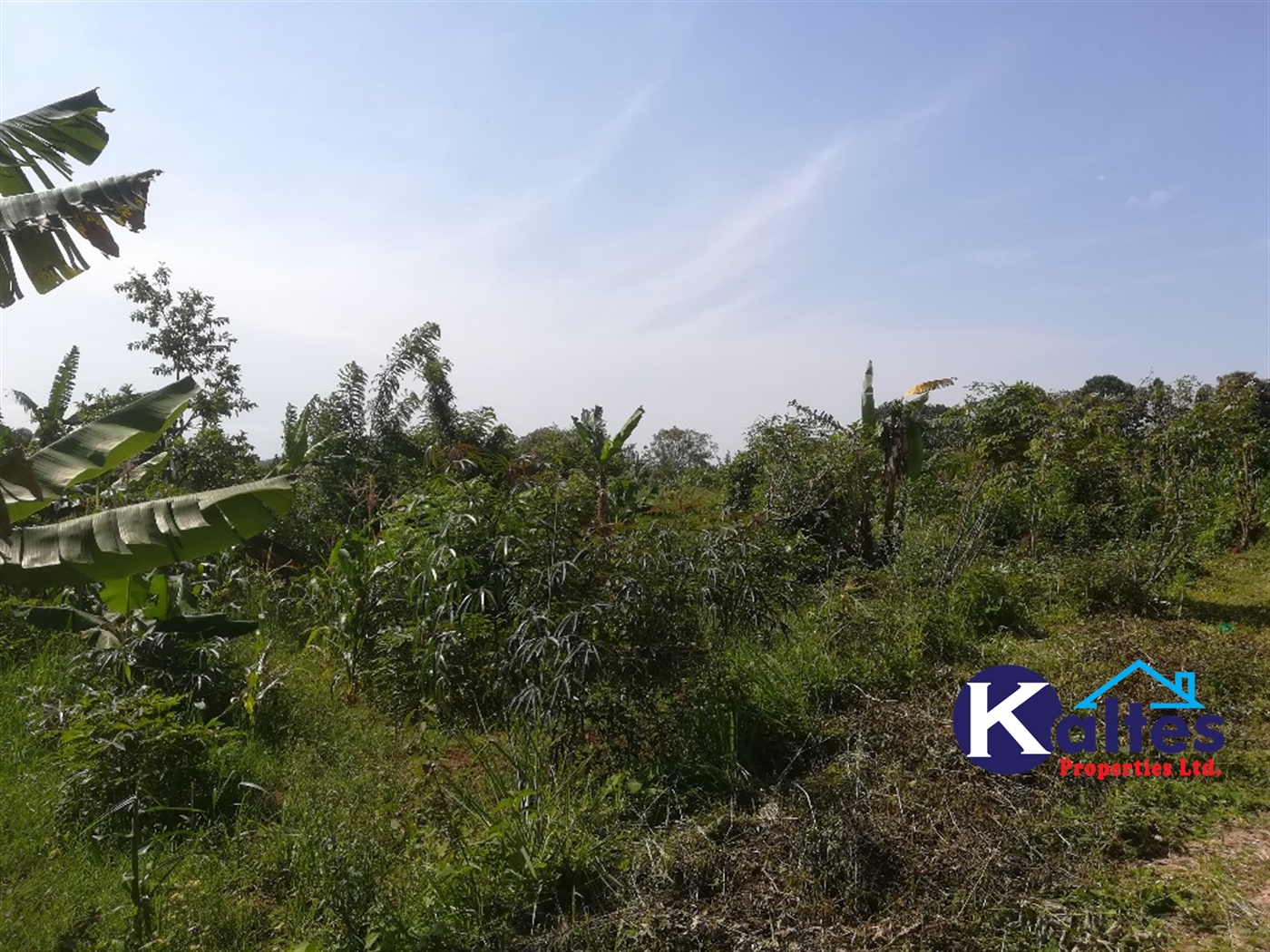 Agricultural Land for sale in Makindu Buyikwe