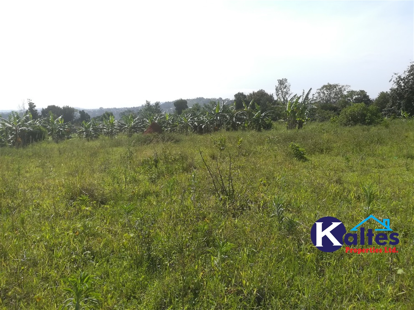 Agricultural Land for sale in Makindu Buyikwe