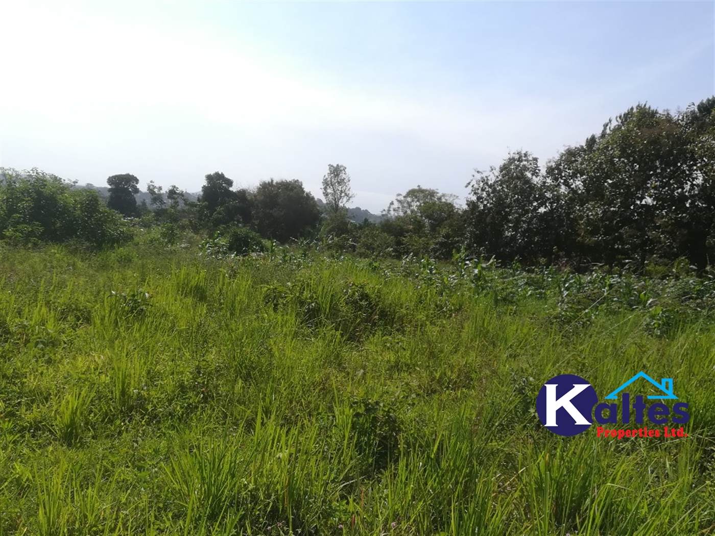 Agricultural Land for sale in Lugasa Buyikwe