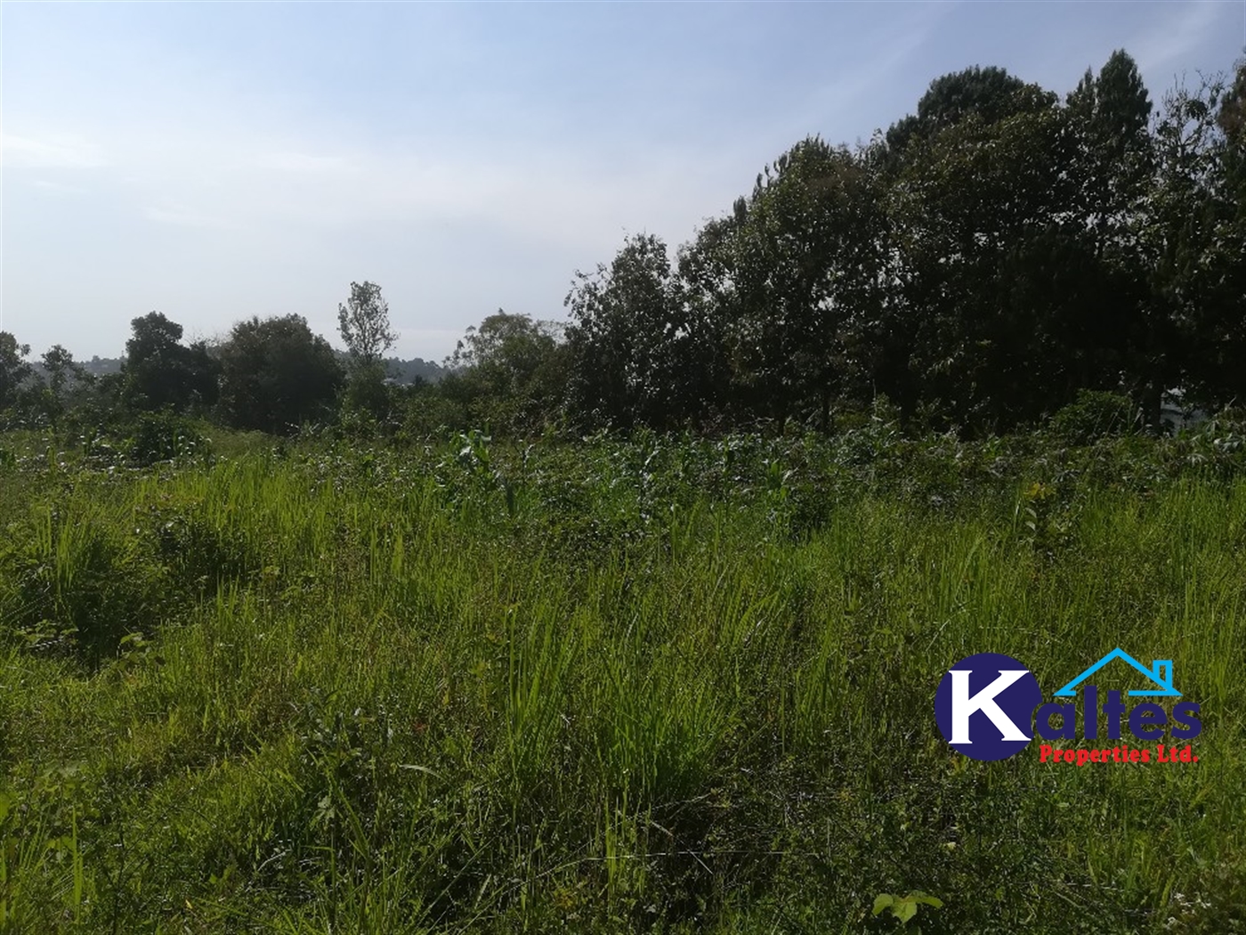 Agricultural Land for sale in Lugasa Buyikwe