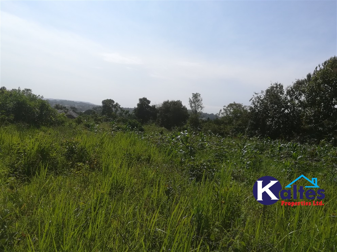 Agricultural Land for sale in Lugasa Buyikwe