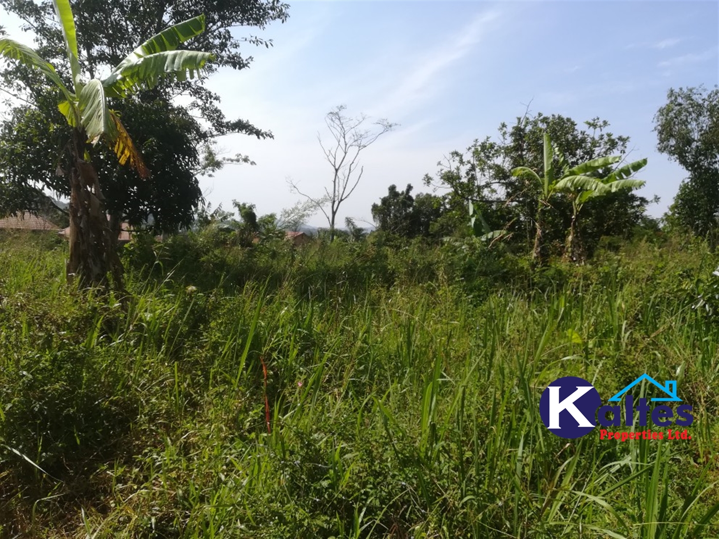 Agricultural Land for sale in Lugasa Buyikwe