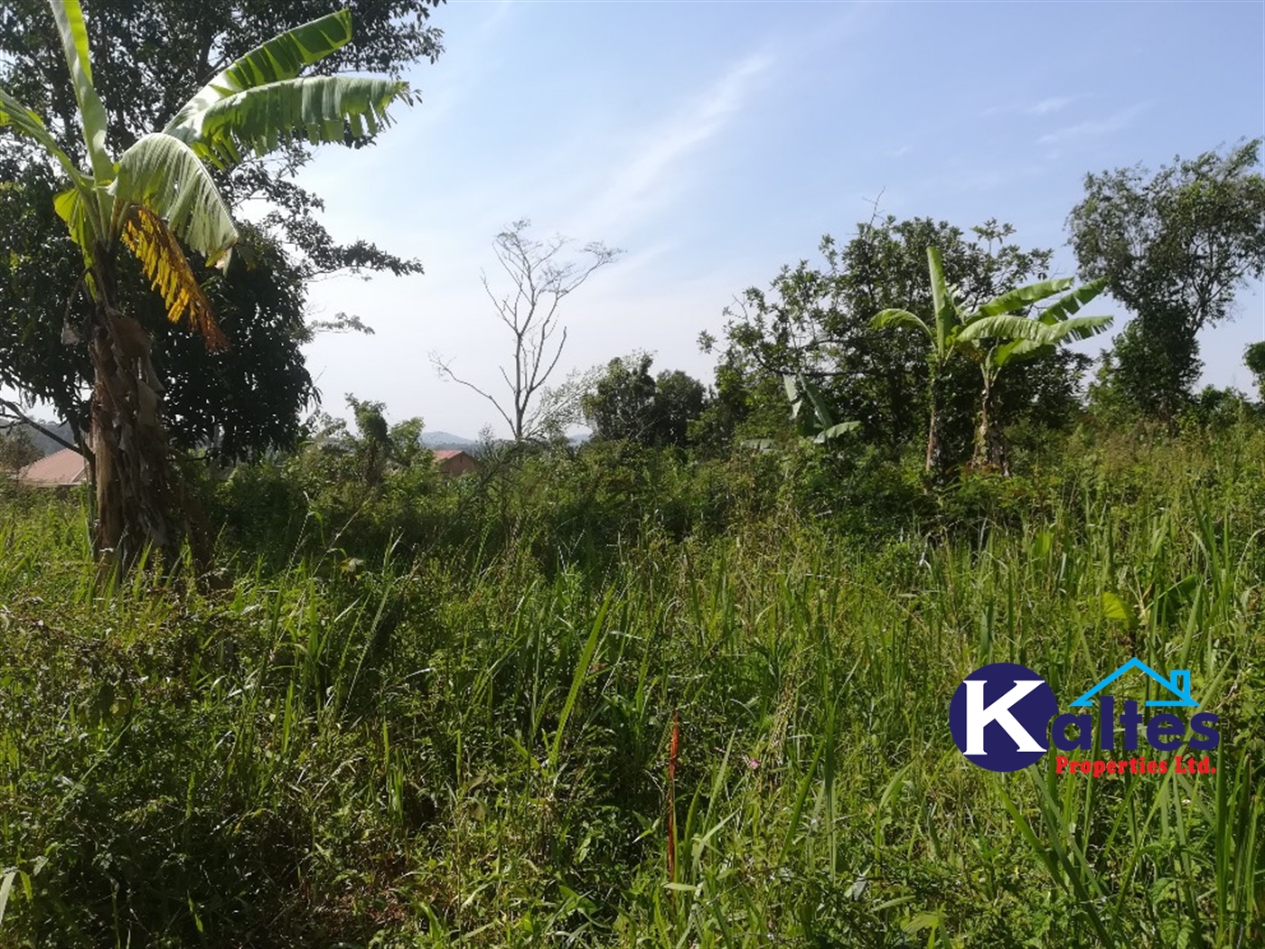 Agricultural Land for sale in Lugasa Buyikwe