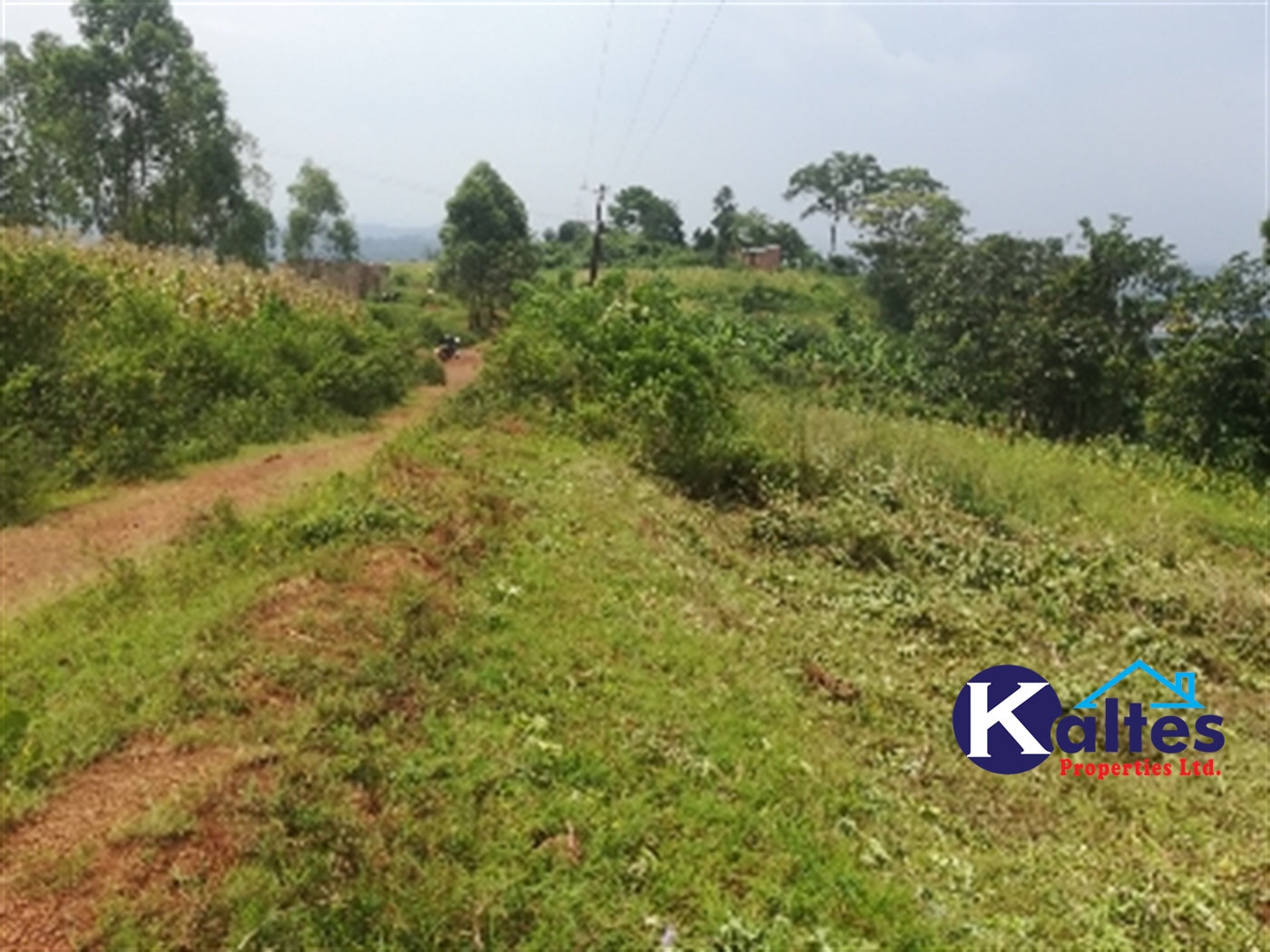 Agricultural Land for sale in Nangunga Buyikwe