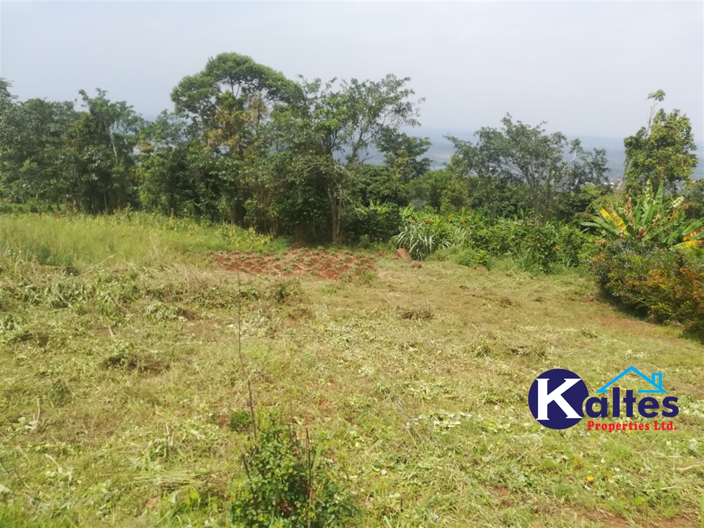 Agricultural Land for sale in Nangunga Buyikwe