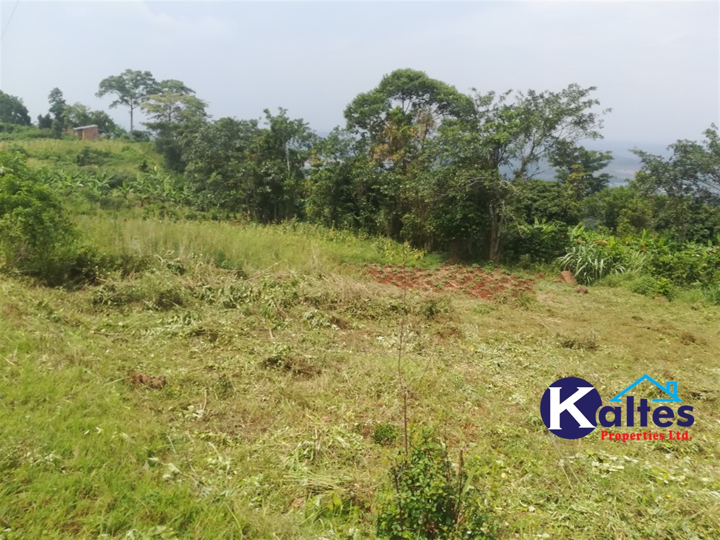 Agricultural Land for sale in Nangunga Buyikwe