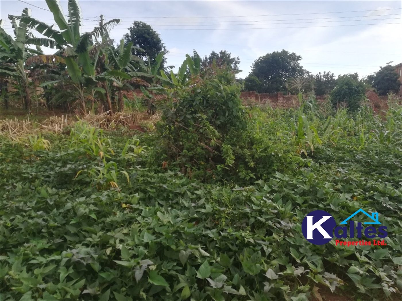 Agricultural Land for sale in Busabaga Buyikwe