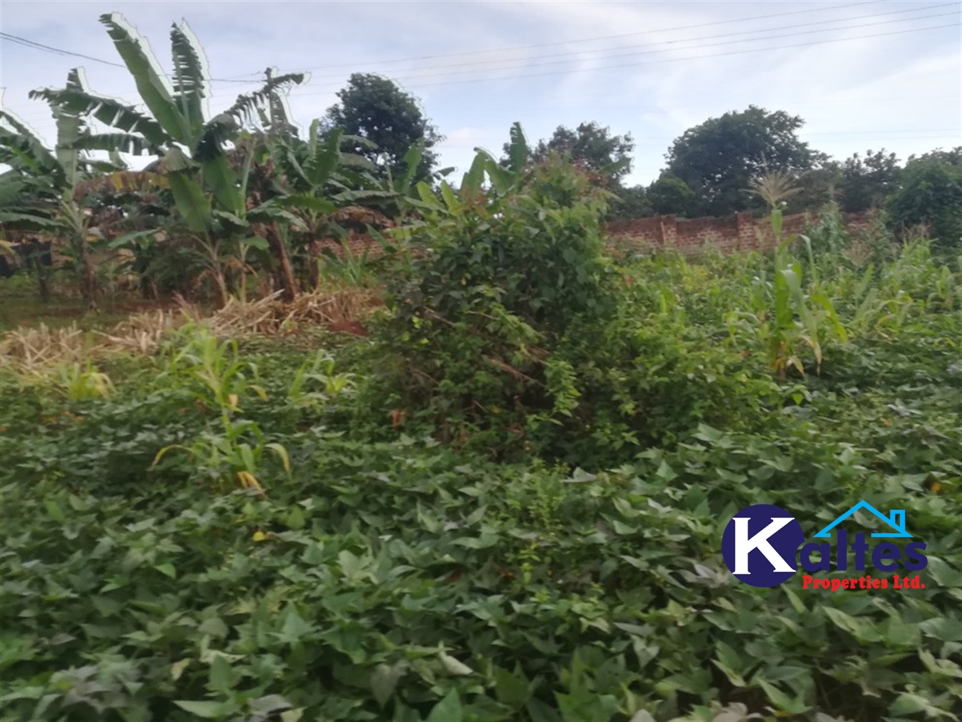 Agricultural Land for sale in Busabaga Buyikwe