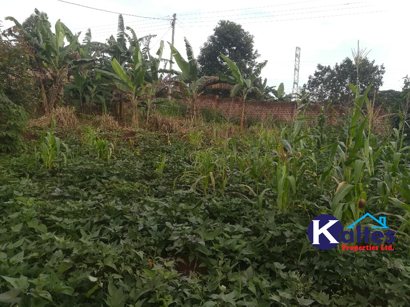 Agricultural Land for sale in Busabaga Buyikwe