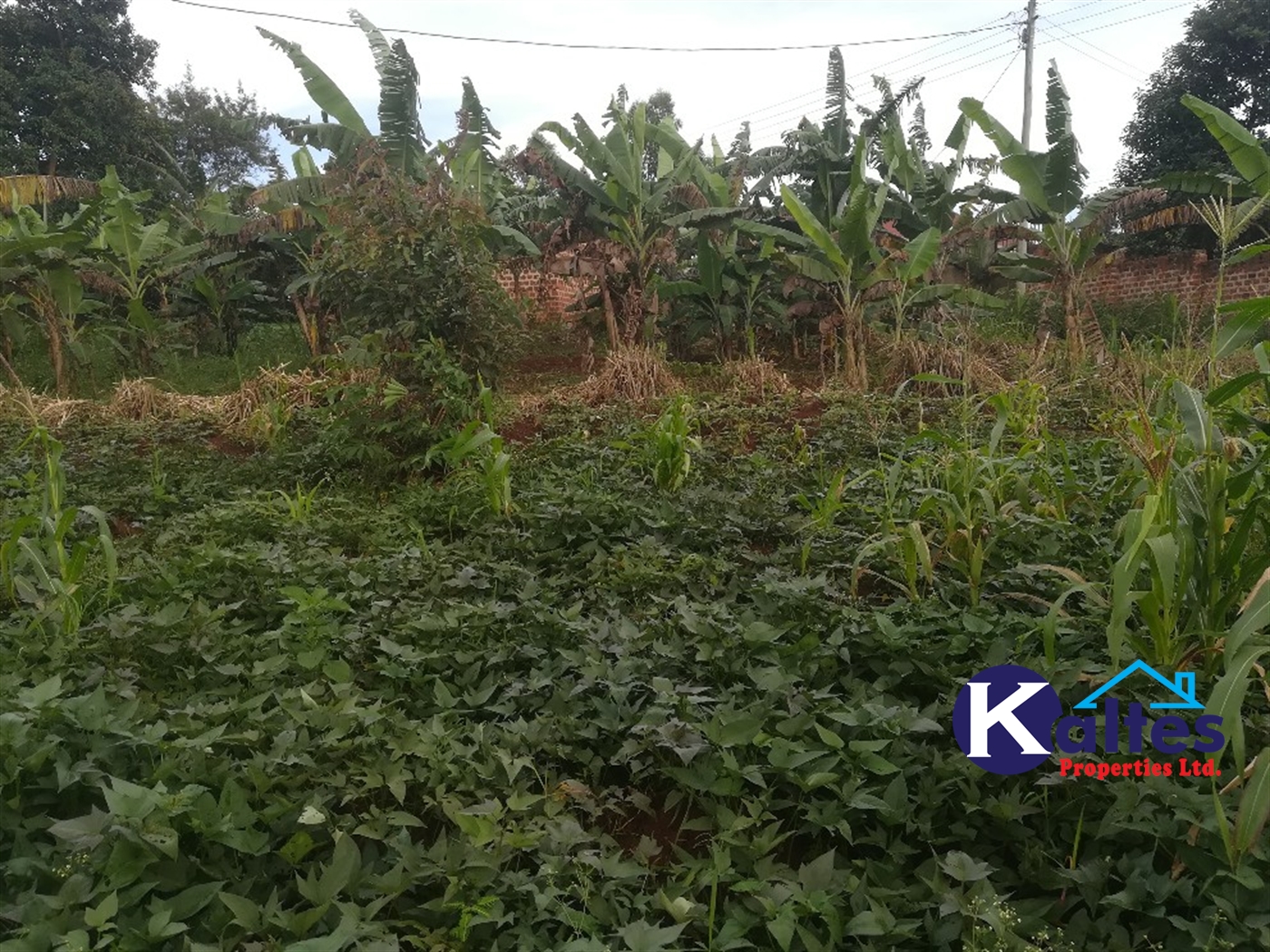 Agricultural Land for sale in Busabaga Buyikwe