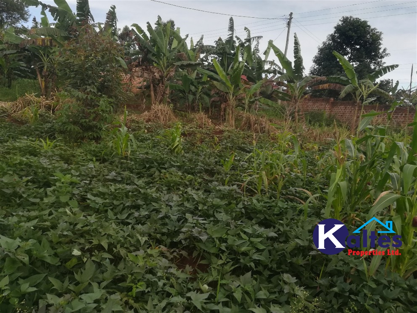 Agricultural Land for sale in Busabaga Buyikwe