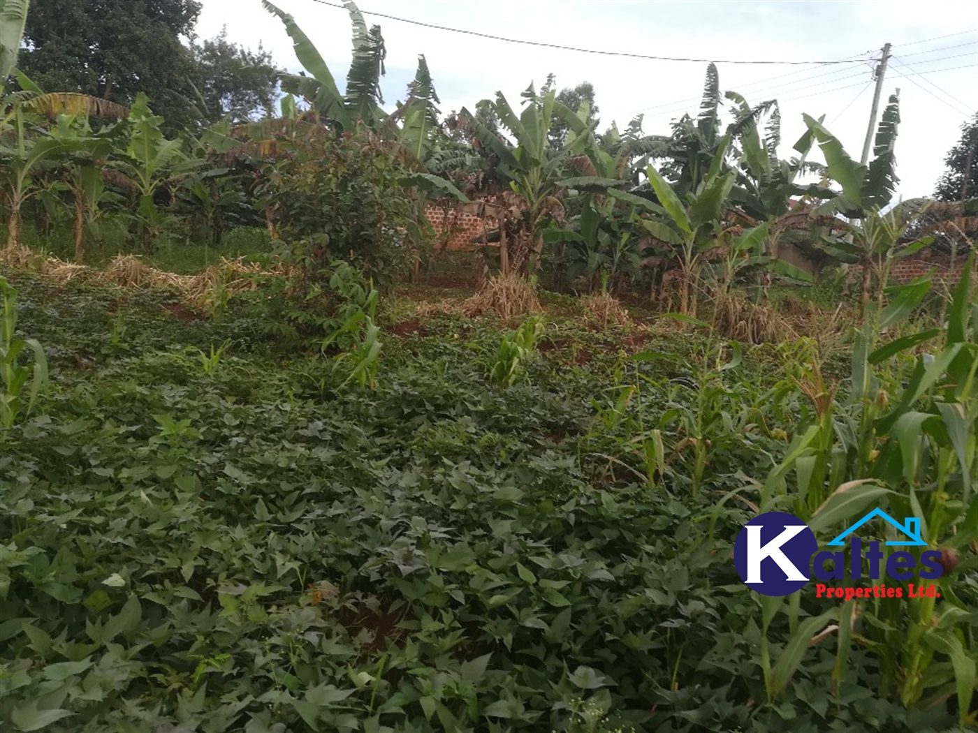 Agricultural Land for sale in Busabaga Buyikwe