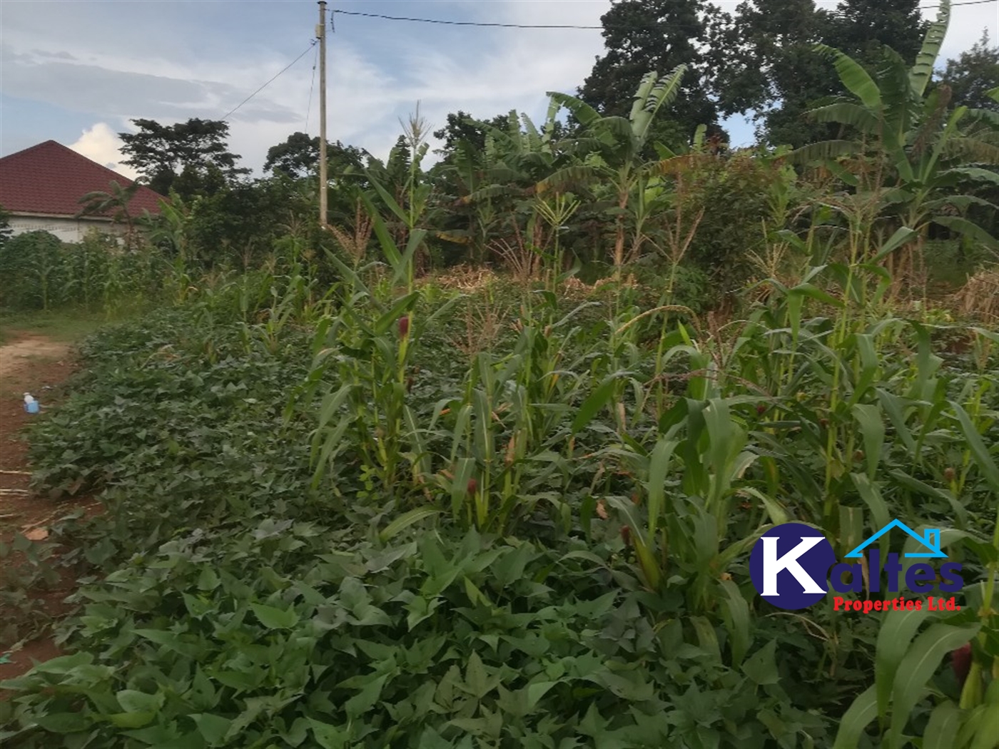 Agricultural Land for sale in Busabaga Buyikwe