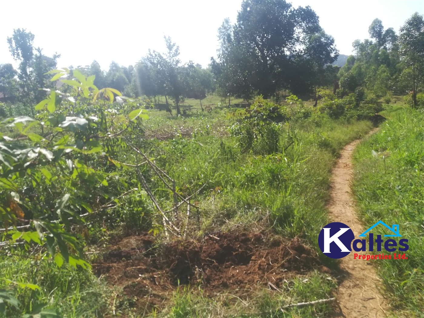 Agricultural Land for sale in Busabaga Buyikwe
