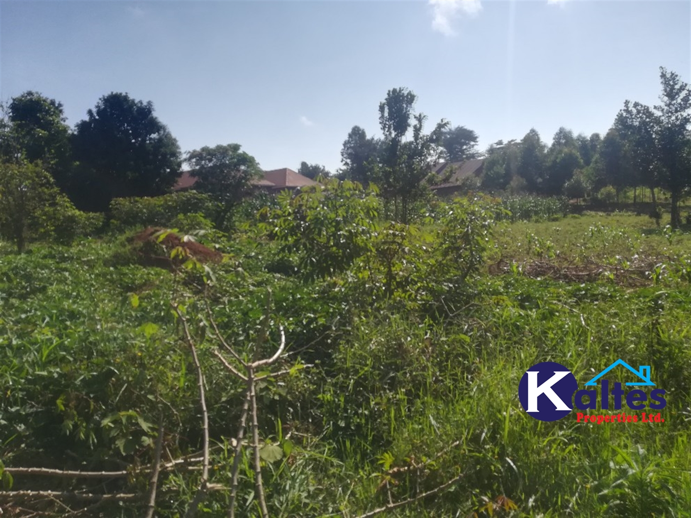 Agricultural Land for sale in Busabaga Buyikwe
