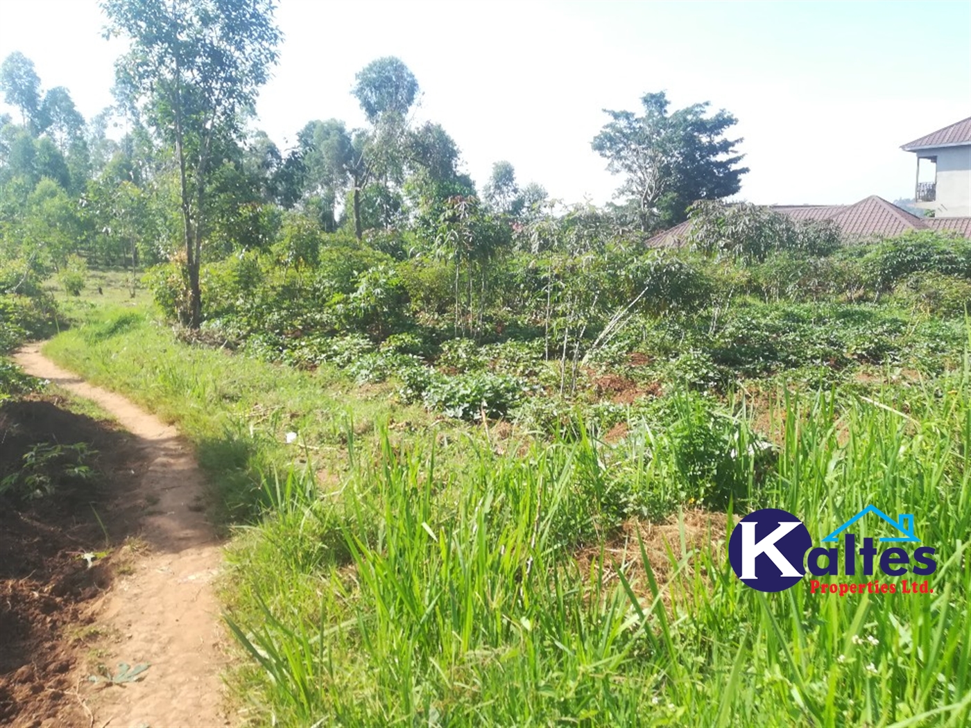Residential Land for sale in Busabaga Buyikwe