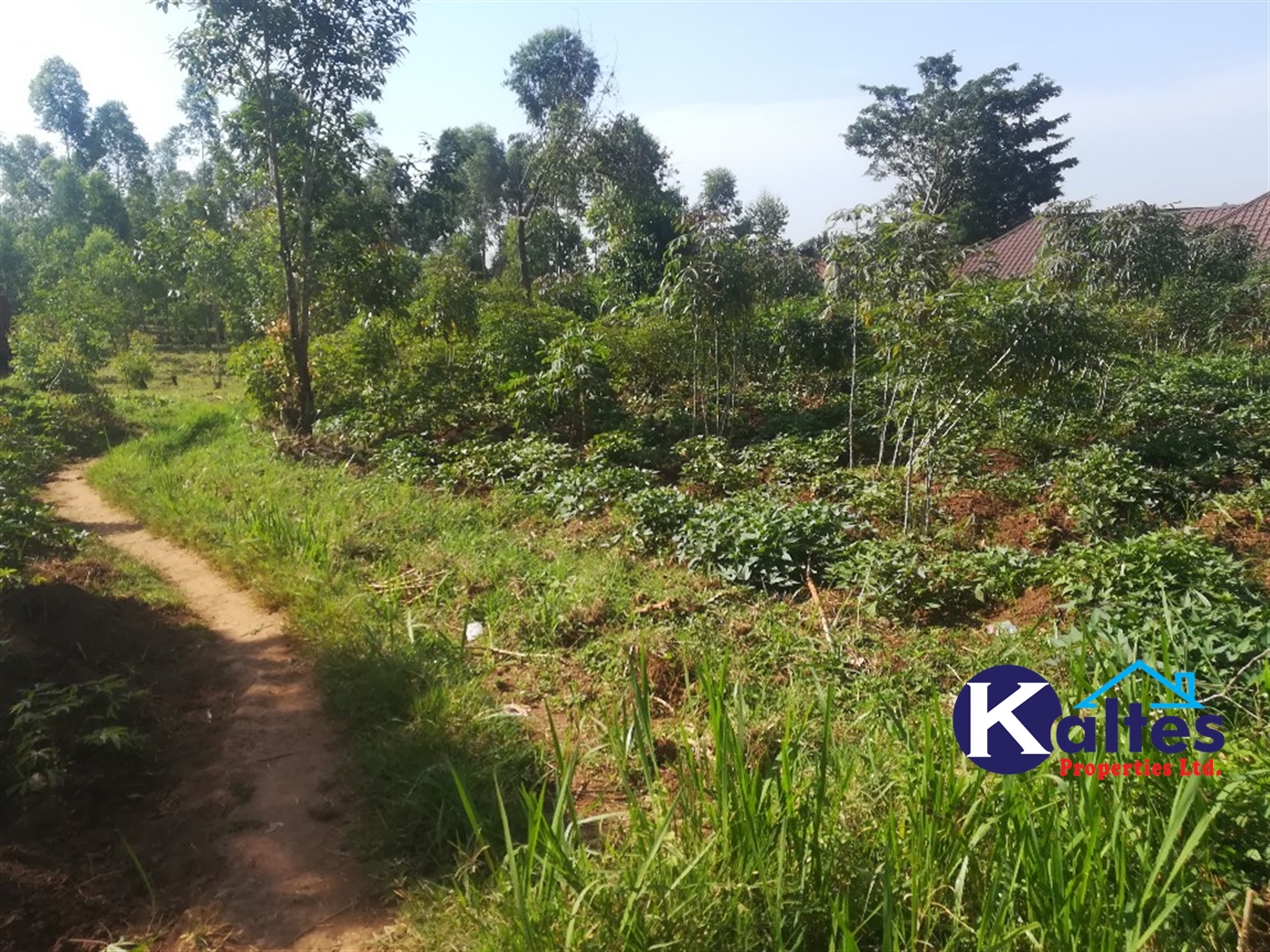 Residential Land for sale in Busabaga Buyikwe