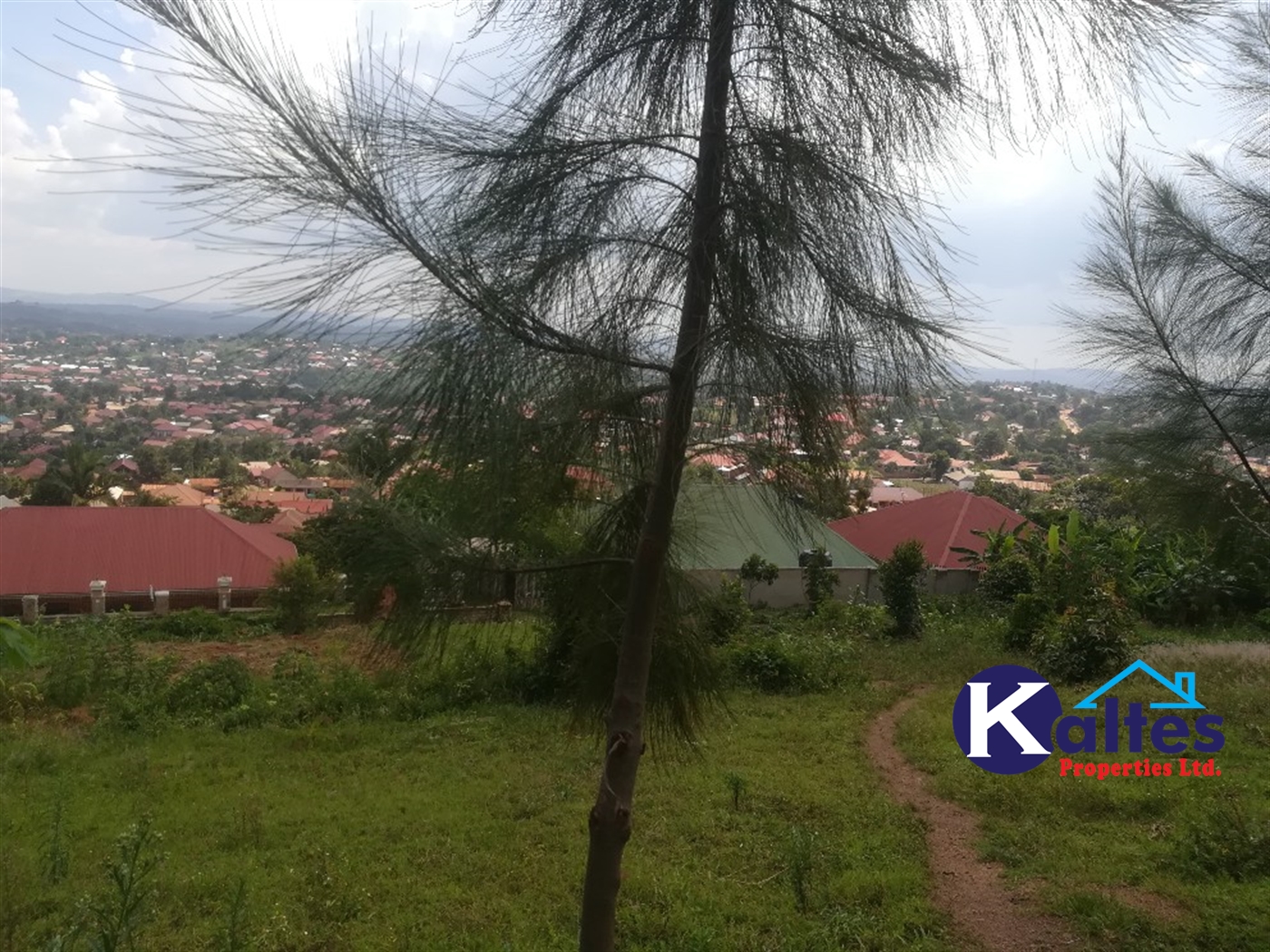 Residential Land for sale in Namayiba Mukono