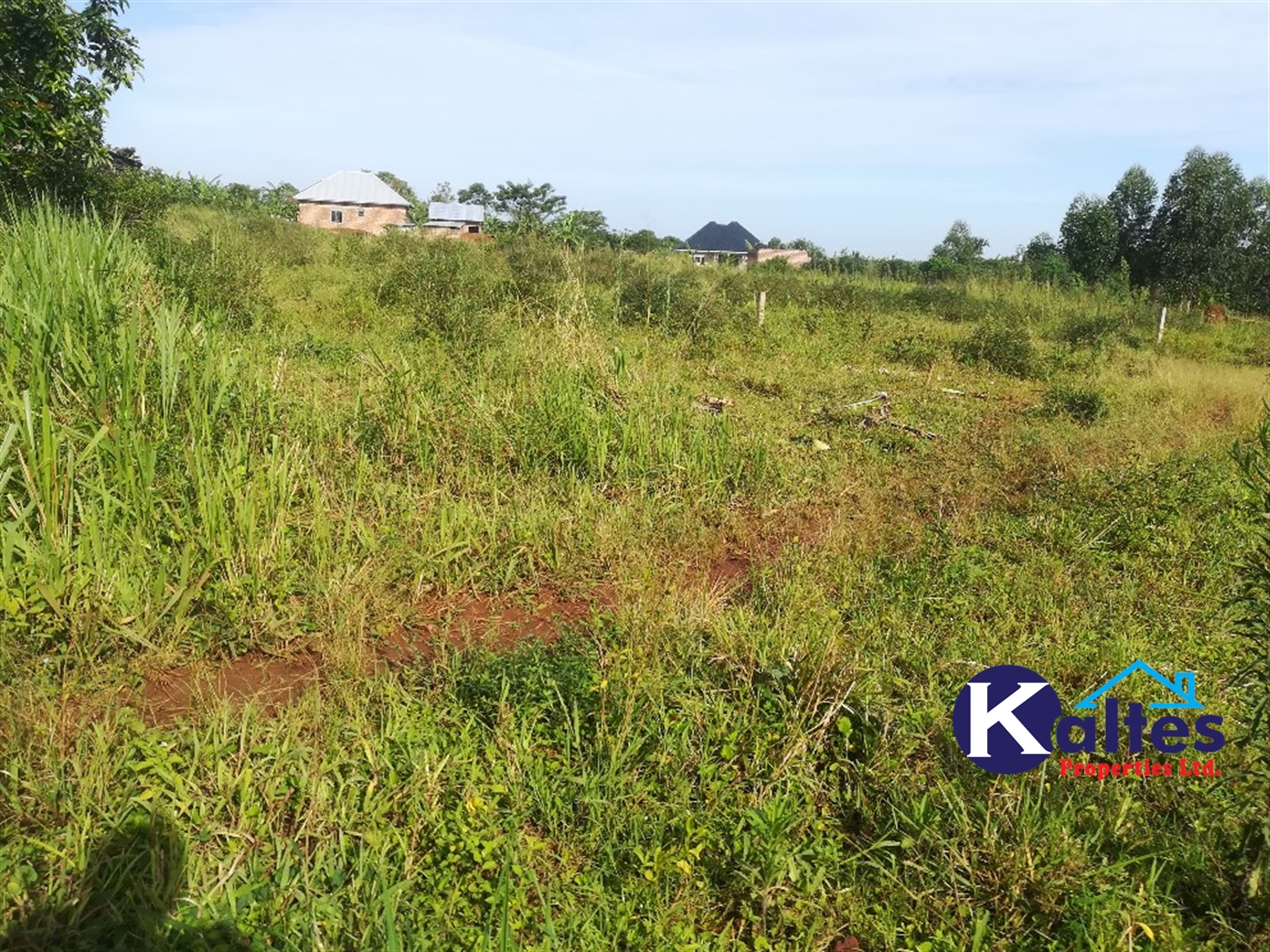 Residential Land for sale in Nakisunga Mukono