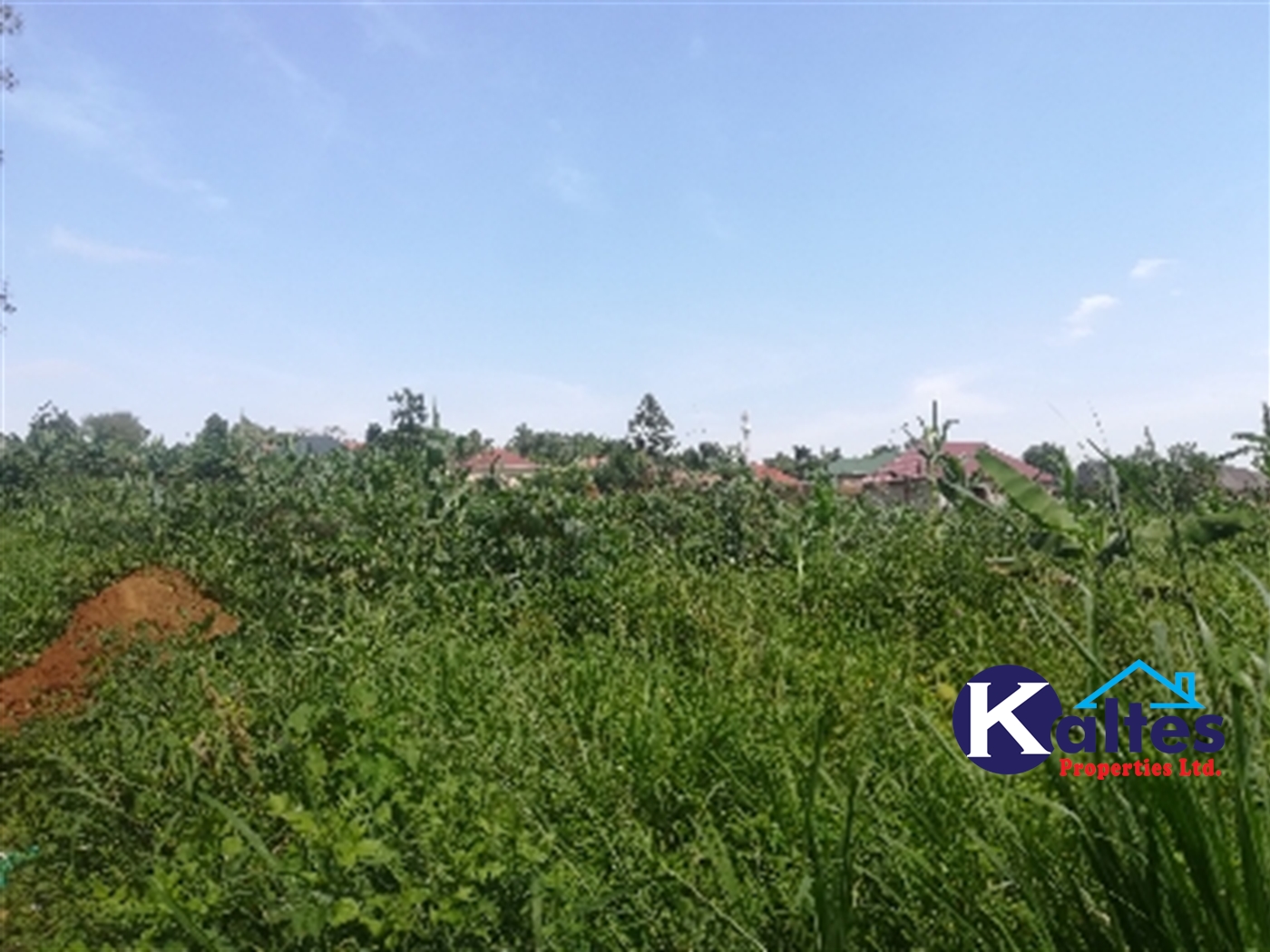 Residential Land for sale in Nakisunga Mukono