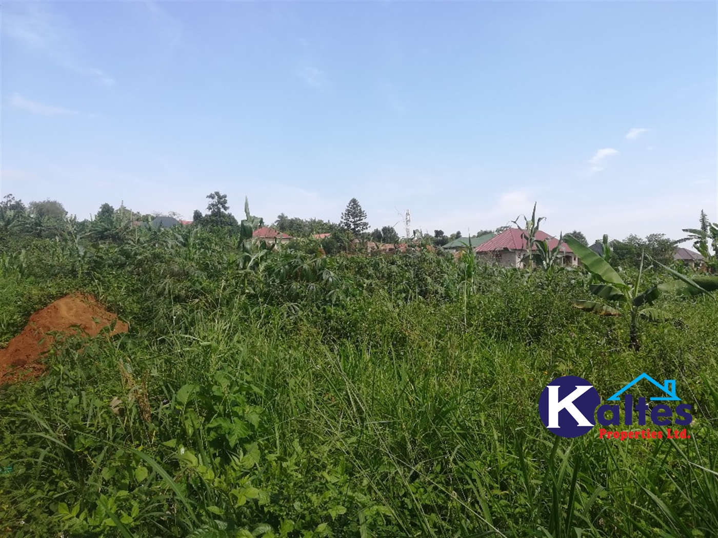 Residential Land for sale in Nakisunga Mukono