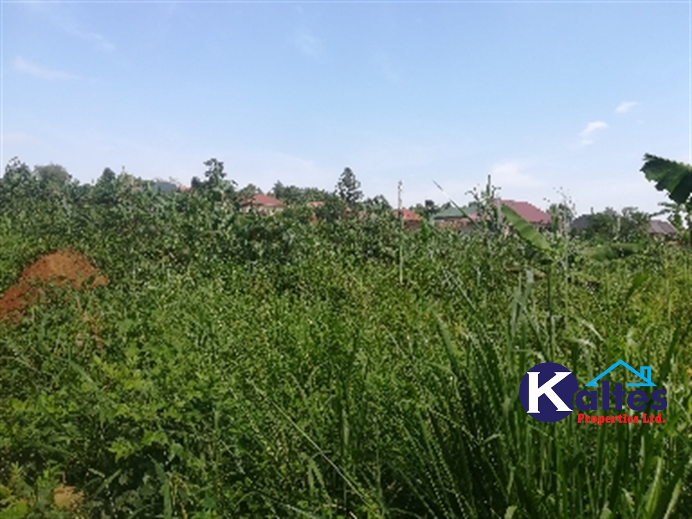 Residential Land for sale in Nakisunga Mukono