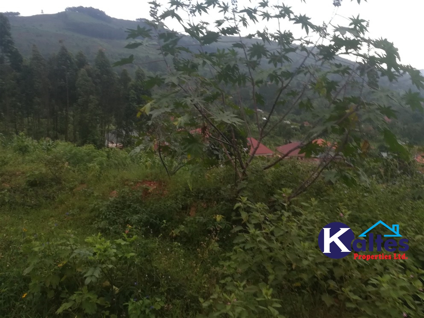 Residential Land for sale in Naama Mukono