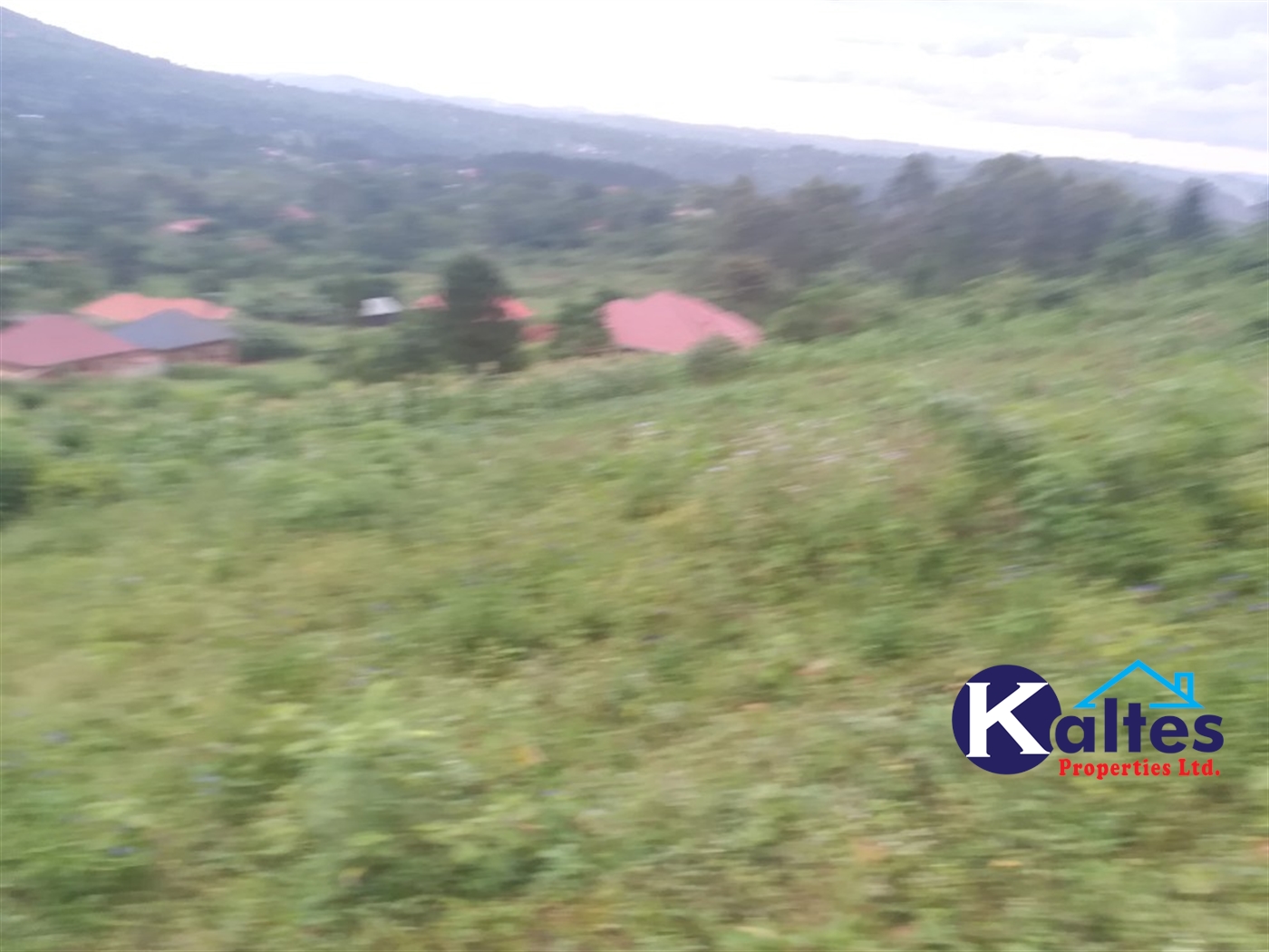 Residential Land for sale in Naama Mukono